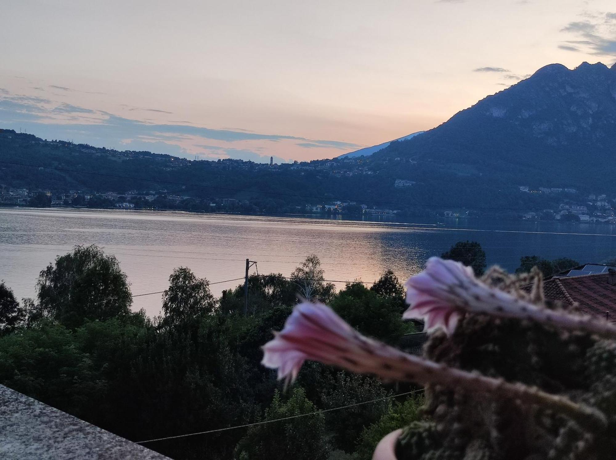 Terrazzo Sul Lago Lecco Exteriör bild